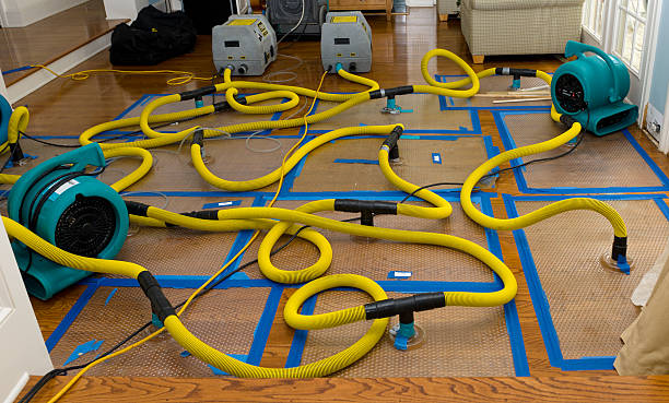 Professional Basement Flood Cleanup technician working in Mattawa, WA